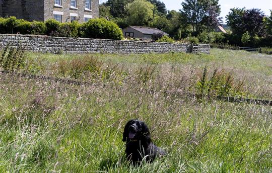 Thirley Cotes Landscape 