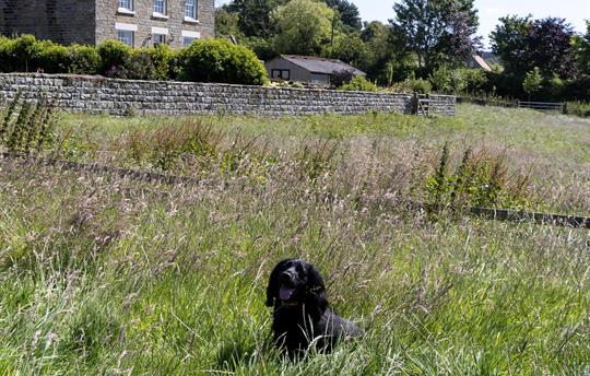 Thirley Cotes Landscape 