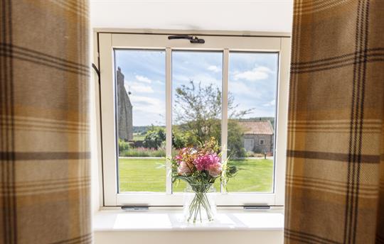 Sycamore courtyard view 