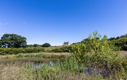 Thirley Cotes landscape 