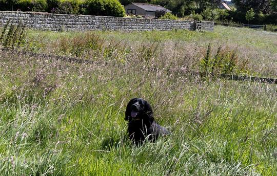 Thirley Cotes Landscape 