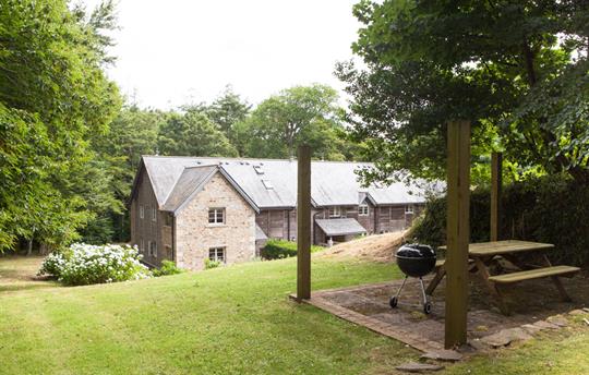 Goldfringey back garden