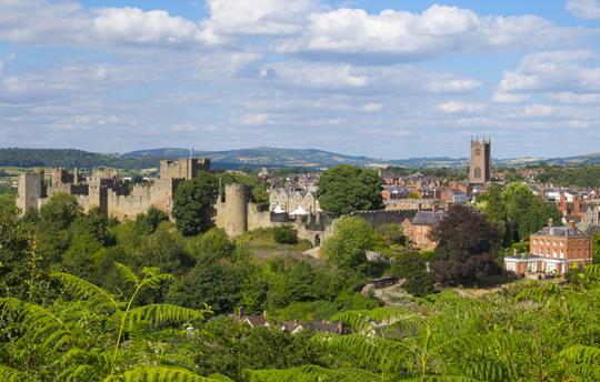Ludlow castle & medieval town (20 mins drive)