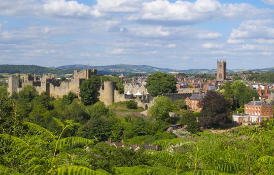 Ludlow castle & medieval town (20 mins drive)