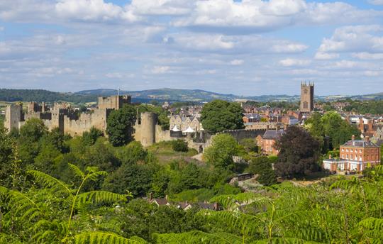Ludlow castle & medieval town (20 mins drive)
