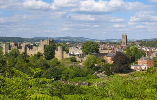 Ludlow castle & medieval town (20 mins drive)