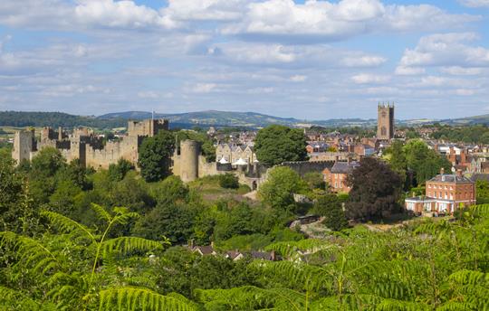 Ludlow castle & medieval town (20 mins drive)
