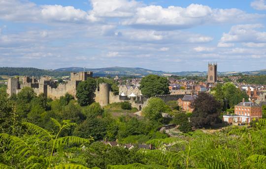 Ludlow castle & medieval town (20 mins drive)