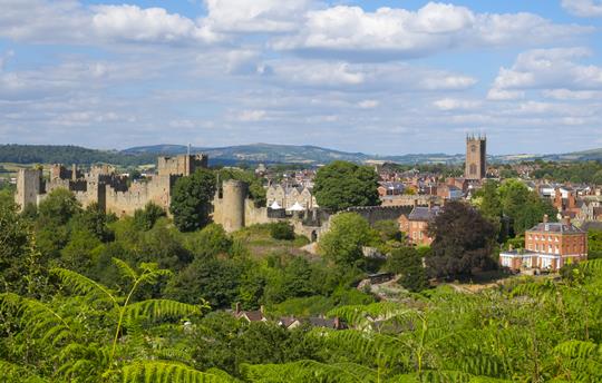 Ludlow castle & medieval town (20 mins drive)