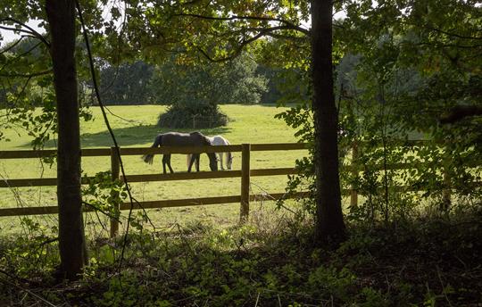 View from the hot tub