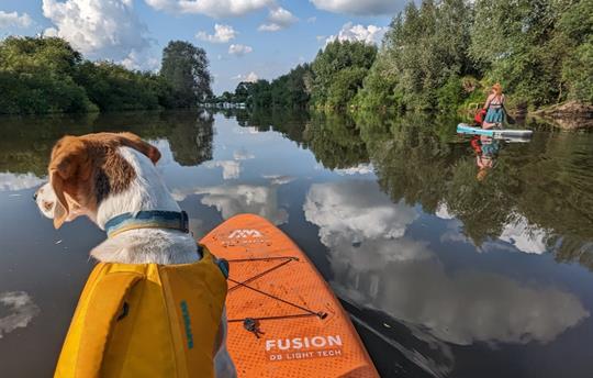 Paddle boarding on the River Severn