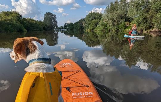 Paddle boarding on the River Severn