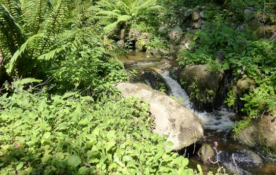 Wooded valley to St.Loy