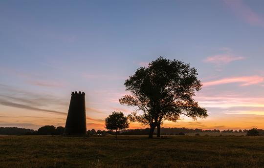 Beverley westwood at dusk
