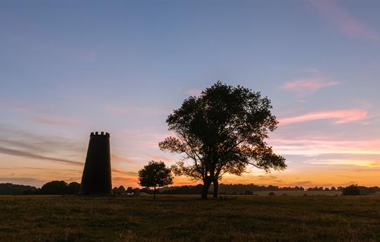 Beverley westwood at dusk