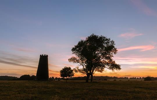 Beverley westwood at dusk