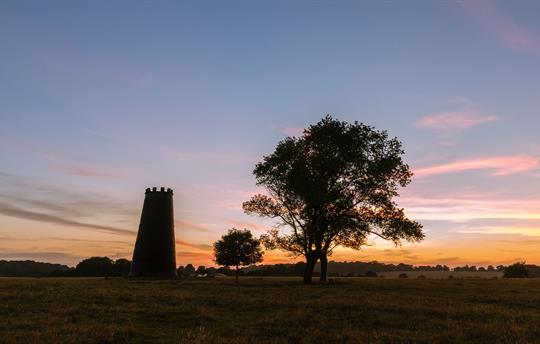 Beverley westwood at dusk