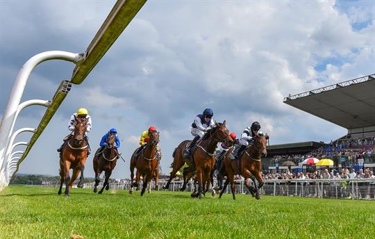 Beverley Races istock