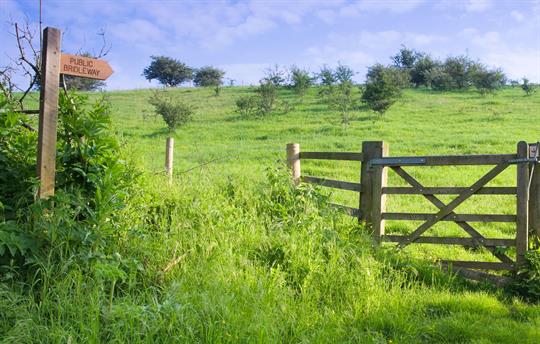 Walk on the Yorkshire Wolds istock