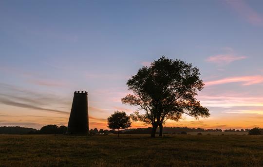Beverley westwood at dusk