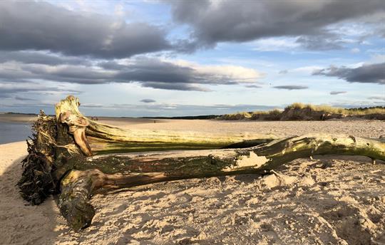 Nairn Beach