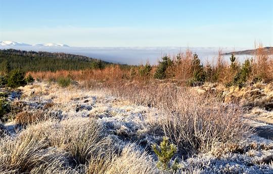 Local walk in Strathnairn
