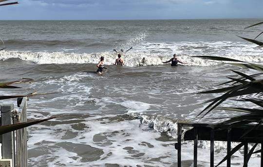 Sea Swimming doesn't get much closer