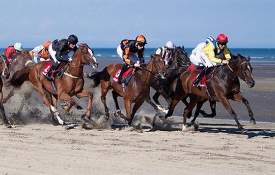 World renowned annual Laytown Annual Strand Races