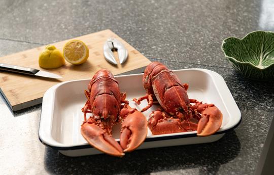 Local lobsters at Gresham Hall
