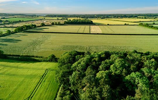 Views of the surrounding area