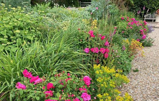 Boscrowan summer borders