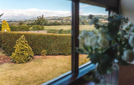 Squirrel Bedroom View