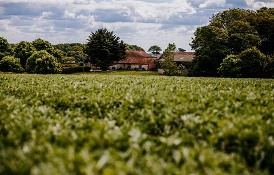 Distance shot of Field House
