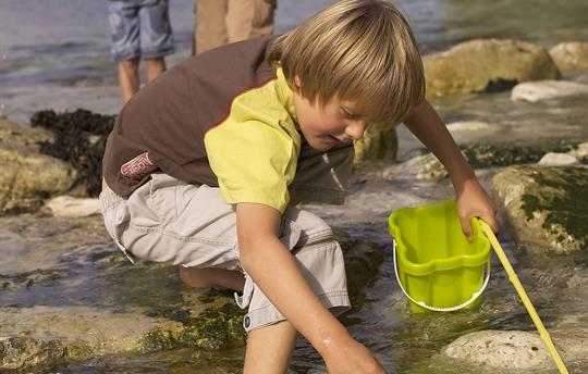 Flamborough rock pools