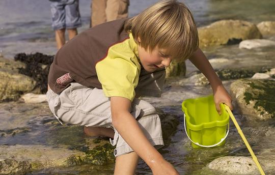 Flamborough rock pools