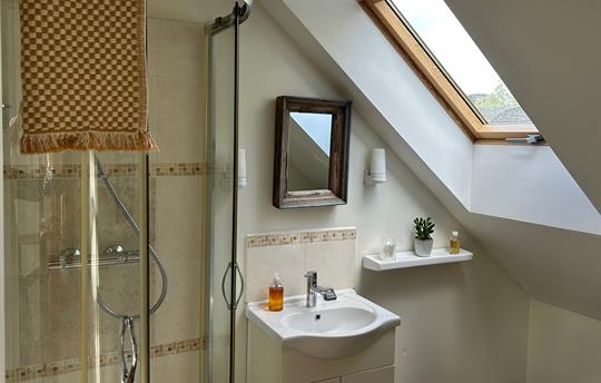 Geiger shower room in Garden Cottage