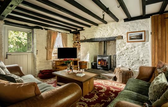 Living room with log burner