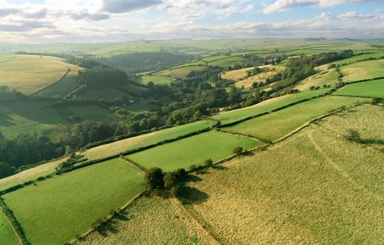 View of surrounding fields
