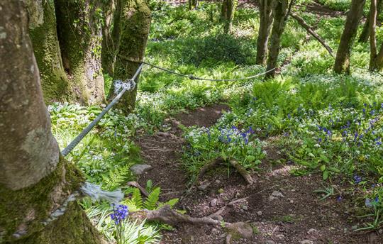 The fun route to the shore via 'the rope'