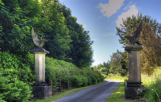 Welcome to Orroland - a magical world