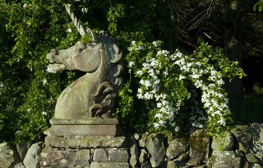 Many quirky landscaping features to enjoy