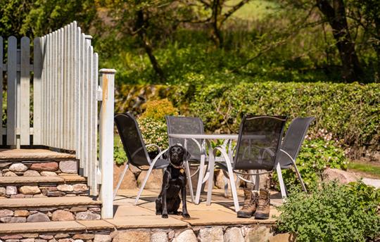 Patio with garden furniture and barbecue