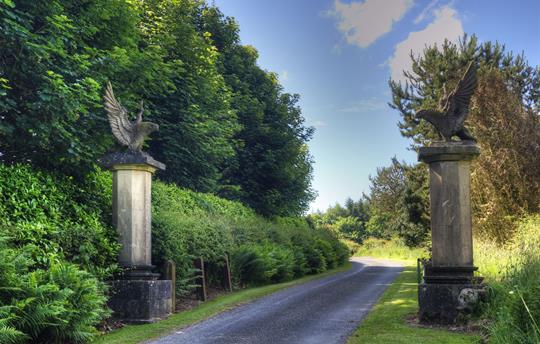 Welcome to Orroland - a magical world