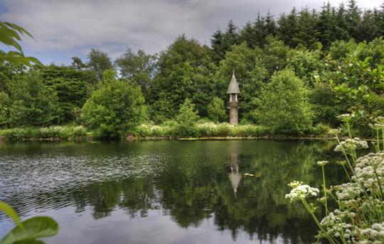 The sandmartin tower near the loch