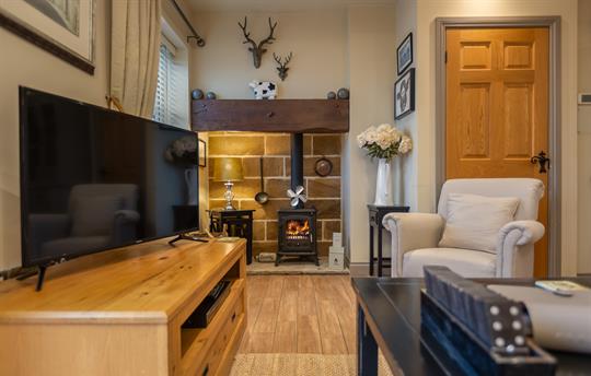 Downstairs fireplace