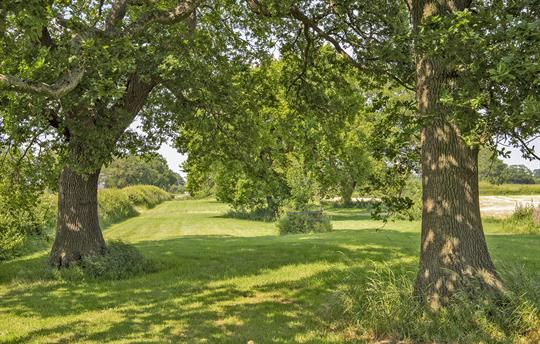 Oak Acre Avenue perfect for a walk or picnic
