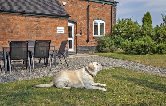 Pet Friendly- Enclosed garden & excellent walking