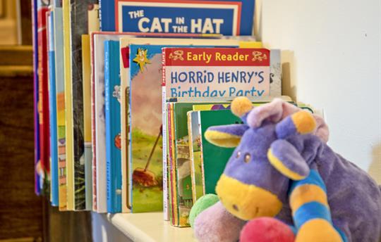 Plenty of books to choose from for a bedtime story