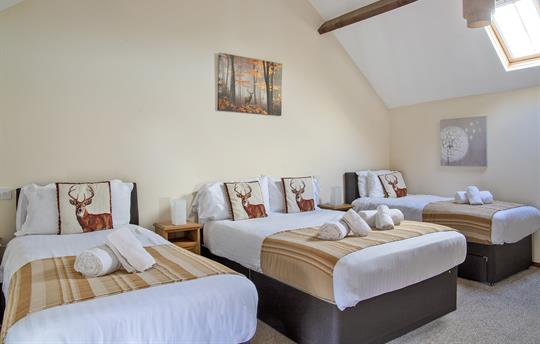 Sleep in comfort in the family room