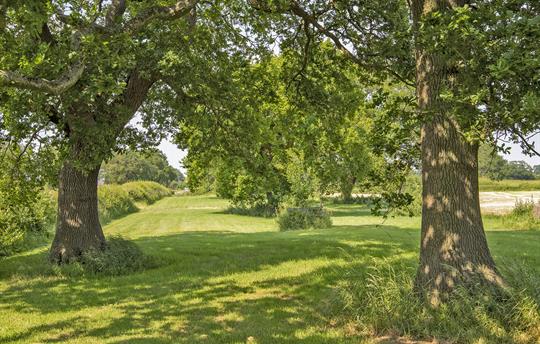 Oak Acre Avenue perfect for a walk or a picnic